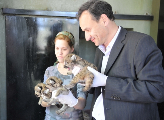Catástrofe en el zoológico de La Plata Catástrofe en el zoológico de La Plata