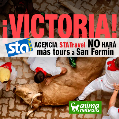 Agencia de viajes STA clausura los viajes de encierros a Pamplona 