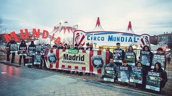 Activistas protestan en Madrid por el maltrato de los animales ‘que pasan por el aro’