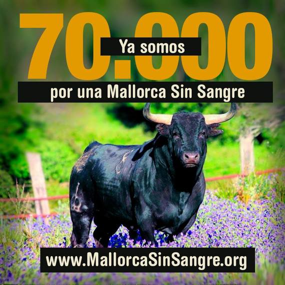 Más de 70.000 firmas contra la tauromaquia en Mallorca