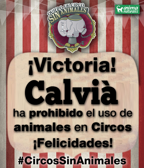 Calvià rechaza los circos con animales por unanimidad