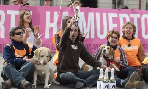Madrid prohibirá el sacrificio de animales abandonados Madrid prohibirá el sacrificio de animales abandonados