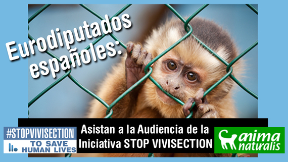 Que los eurodiputados españoles ayuden a Stop Vivisection, ¡escríbeles! Que los eurodiputados españoles ayuden a Stop Vivisection, ¡escríbeles!