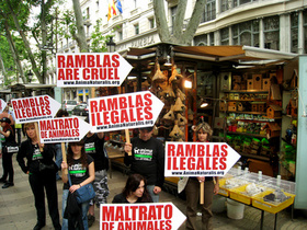 ¡Vota para eliminar los puestos de venta de animales de las Ramblas!