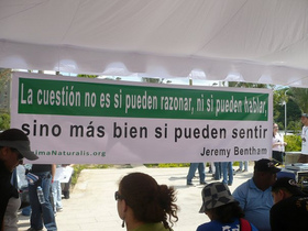 Polémica desbordada por la nueva Ley de “Protección “ Animal