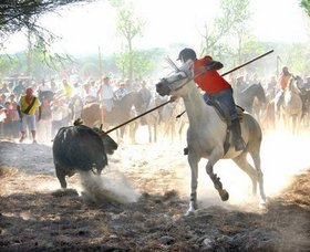 PP y PSOE acuerdan en el Senado que el Toro de la Vega se mantenga como Fiesta de Interés Turístico