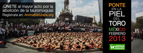¡Súmate a la mayor acción contra la tauromaquia y "Ponte en la Piel del Toro"!