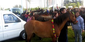 ¡Comenzó la sustitución de los vehículos de tracción animal en Bogotá!