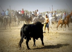 No se sancionará por "difamar" el Torneo del Toro de la Vega