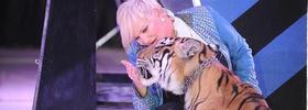 Bildu pide prohibir en Vitoria los toros y los circos con animales