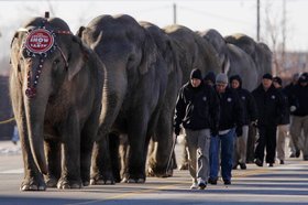 El circo Ringling Brothers ha llegado a México. ¡EnvÃa HOY una carta!