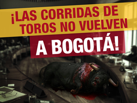 Firmatón para que las corridas de toros no vuelvan a Bogotá ¡Participa!