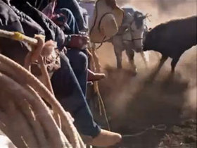 ¡Exige HOY la inmediata cancelación del "Mata-caballos" en Iguala!