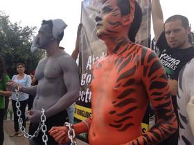 Centenares de activistas protestan contra Ringling Brothers en Monterrey