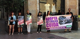 AnimaNaturalis promovió                                              la adopción en las calles de                                              Palma