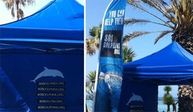 SOSDelfines aterrizó en                                              Canarias el 4 de Julio, Día                                              del Delfín Cautivo