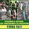 Los Galgos de Argentina te necesitan!
