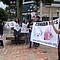 Contra la matanza de focas en Canadá 