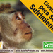 Lanzamiento en España de investigación encubierta sobre el comercio de primates