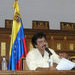 Ambientalistas piden prórroga para aprobar ley de protección animal en Venezuela