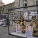Proyecto de ley para prohibir los circos con animales en Colombia