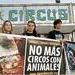 El Gobierno de Lloret no autorizará ningún circo más con animales