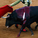 ¡Protesta ya! Guanajuato llevará corridas de toros al festival Cervantino