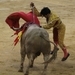 Vota ¿Deben prohibirse los toros en España? Envía tu vídeo a los informativos