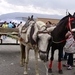 En Medellín cambiaron las 'zorras' por motocarros 