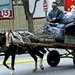 Este año serán remplazadas las “zorras” en todo el país
