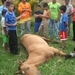 Por calle en mal estado sacrifican un caballo de carga