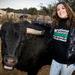 Vota a favor de prohibir los toros