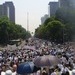 Millares de personas marchan por los Derechos de los Animales en México