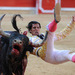 Encuesta sobre la prohibición de la tauromaquia ¡Vota ahora!