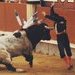 Vota por la prohibición de las corridas de toros