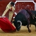 El trabajo abolicionista continúa... ¡vota contra las corridas de toros!