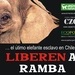 ¡Firma por Ramba! El último elefante esclavo en Chile. ¡Ponte en acción!
