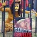 Activistas de AnimaNaturalis en Argentina agredidos por el circo Kroner
