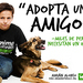 ¡Gran logro: Comcel cancela la rifa de 200 perros en Colombia!