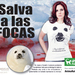 ¡Apoya la campaña de AnimaNaturalis y PETA contra la matanza de focas en Canadá!