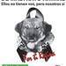 Manifestación por Regina, contra el maltrato animal