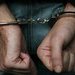 Detenidos doce activistas animalistas en España: ¡apoya con tu firma!
