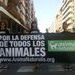 Manifestación antitaurina en Alicante por unas hogueras de San Juan sin sangre