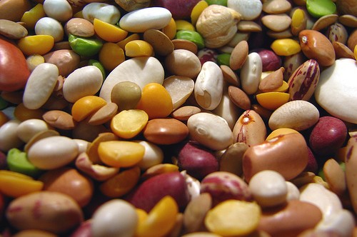 Proteínas Vegetales: nutritivas y económicas Proteínas Vegetales: nutritivas y económicas