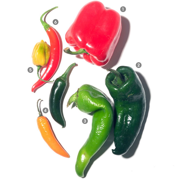 Pimientos, chiles y ají Pimientos, chiles y ají