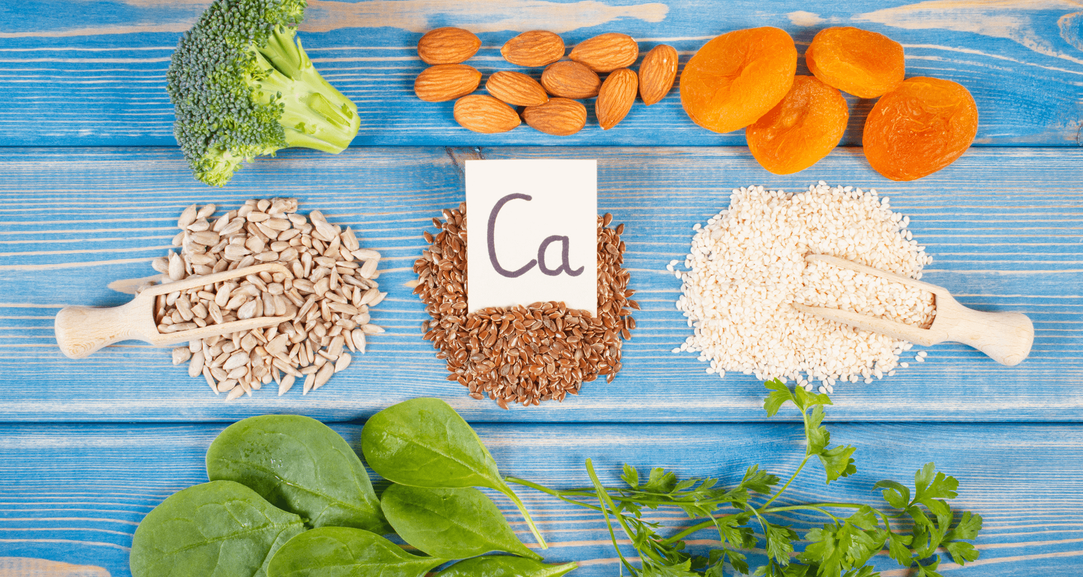 El calcio en una alimentación vegetariana estricta El calcio en una alimentación vegetariana estricta