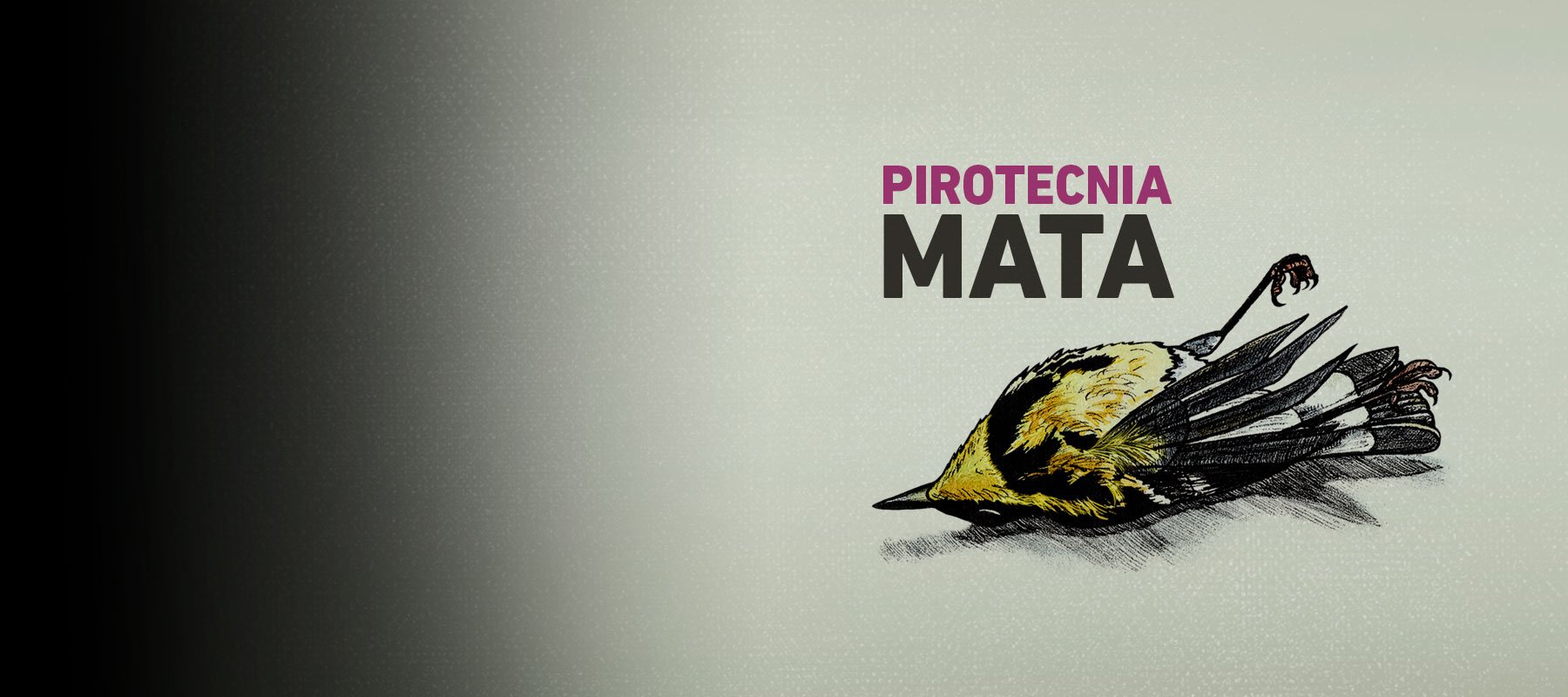 ¡Por una pirotecnia sin ruido!