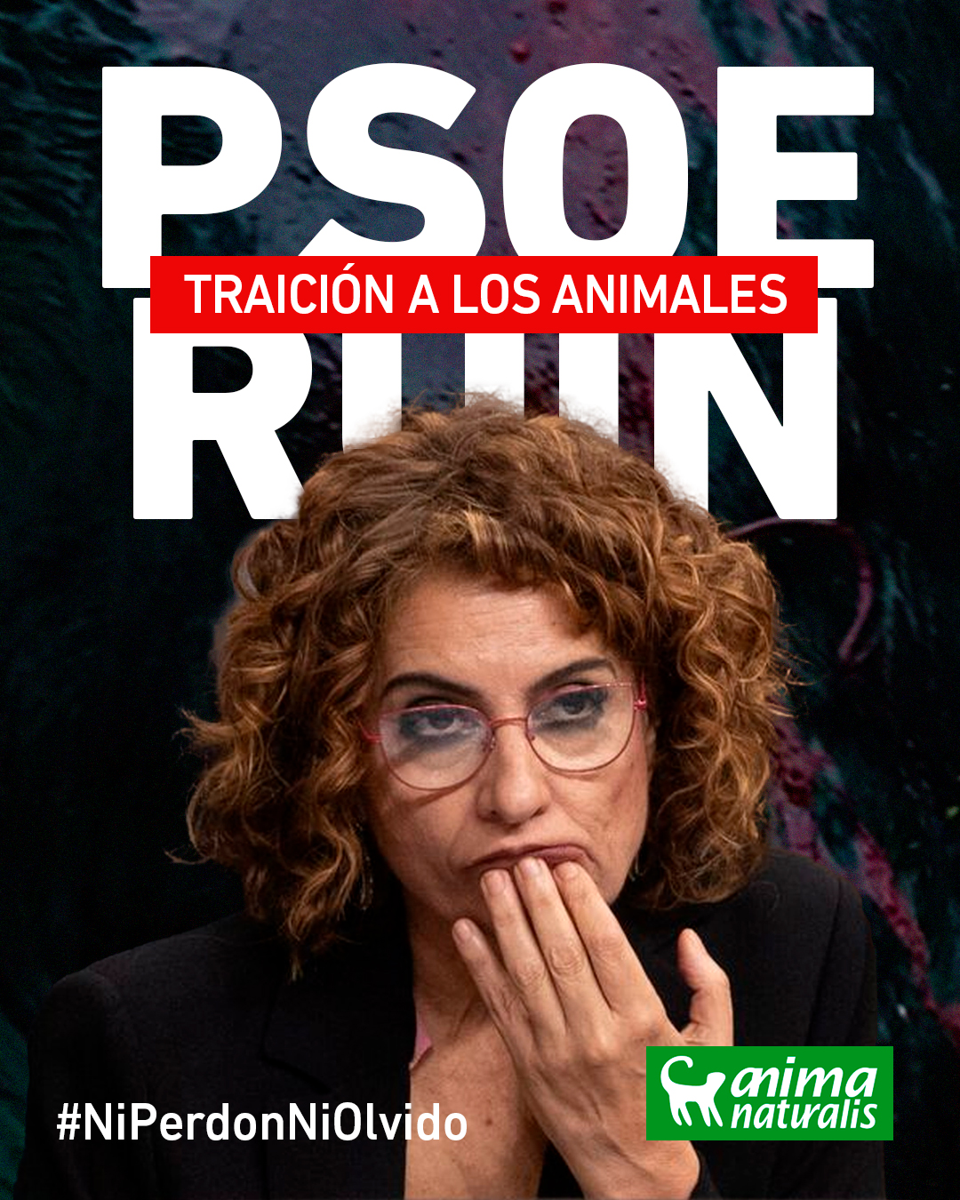 María Jesús Montero