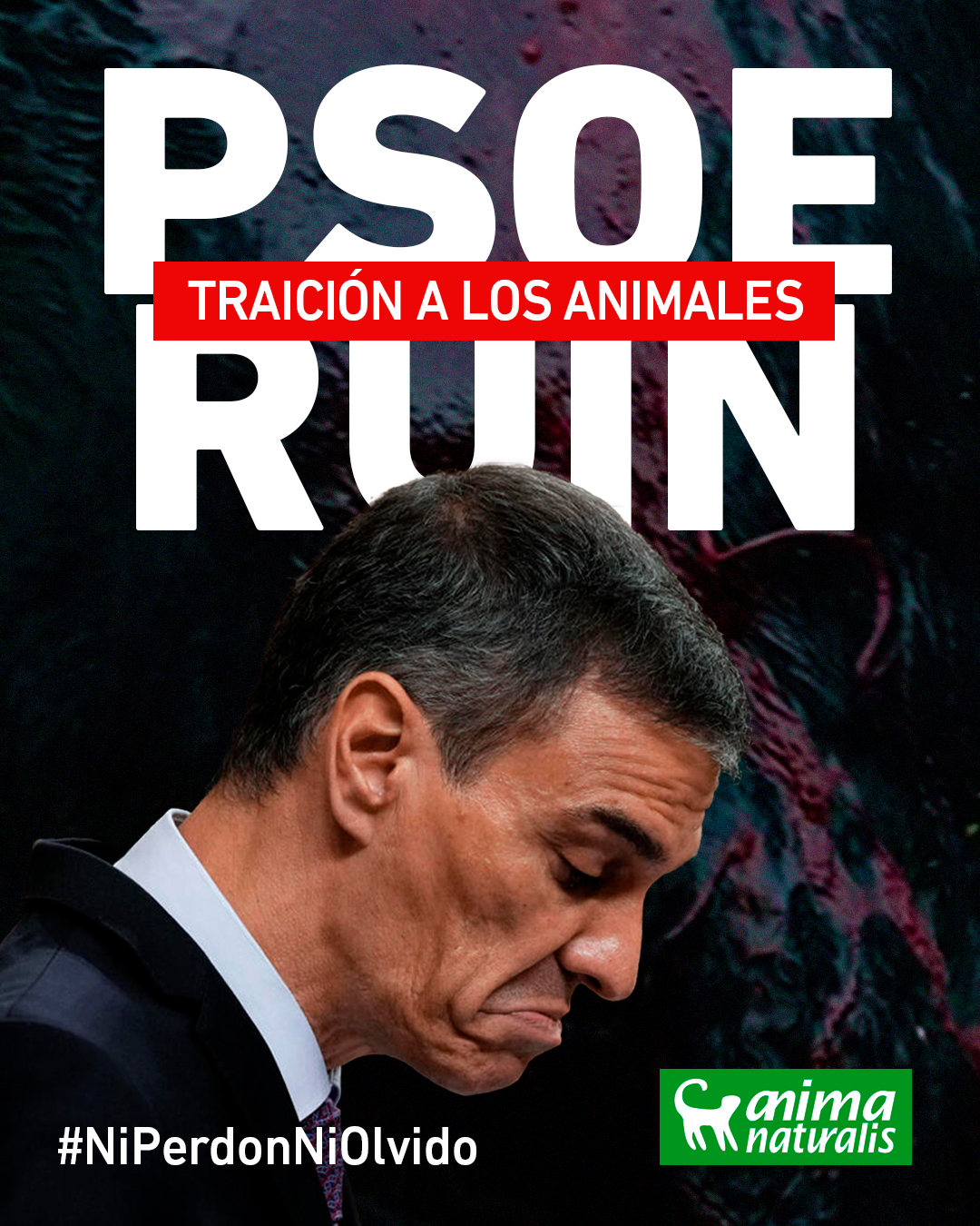 Pedro Sánchez Pérez-Castejón