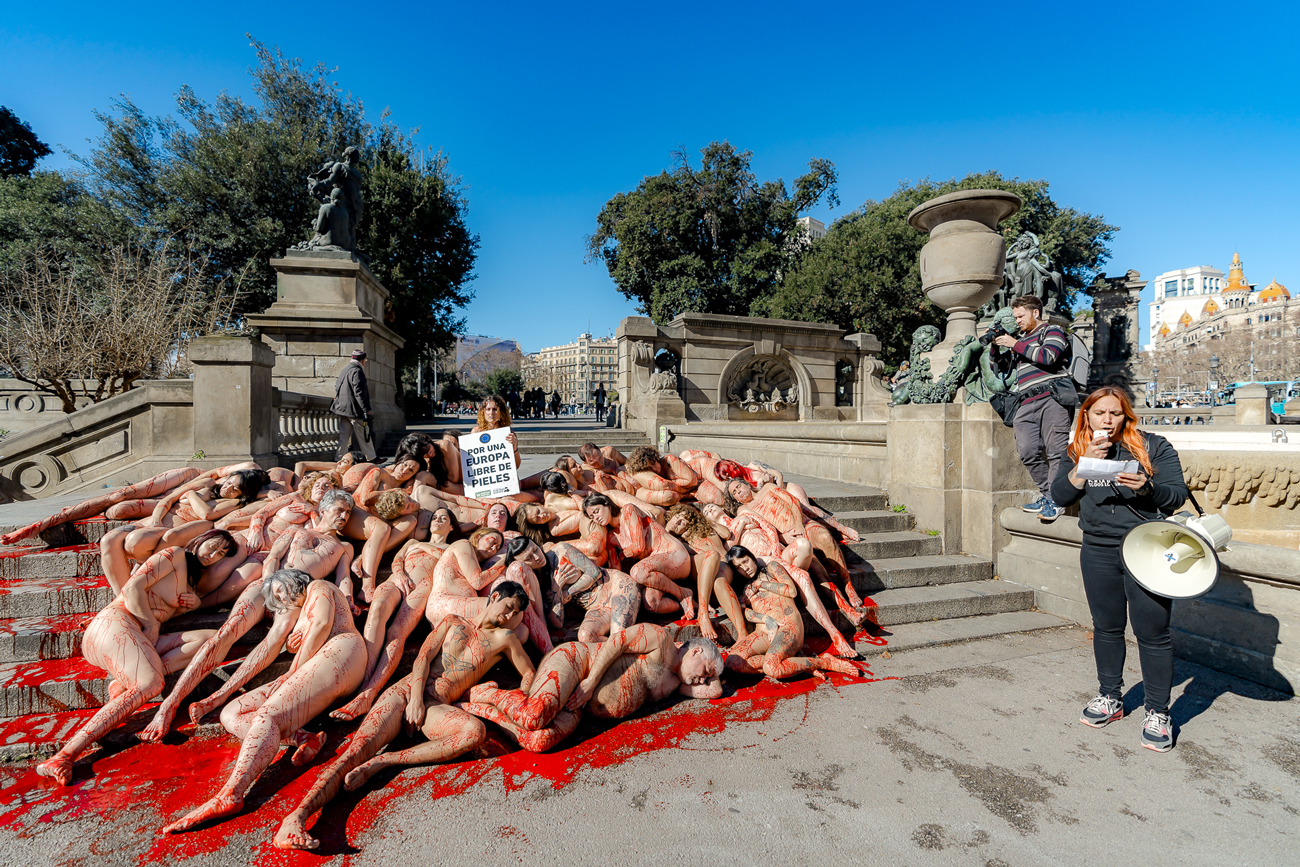 70 activistas desnudos exigen a Europa prohibir las granjas peleteras antes de marzo